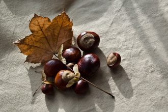 Piure de castane, sursa: Pixiebay, revistamargot.ro