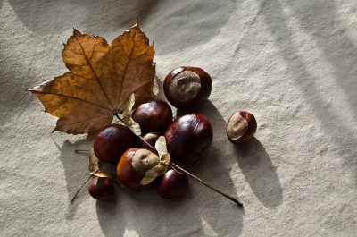 Piure de castane, sursa: Pixiebay, revistamargot.ro