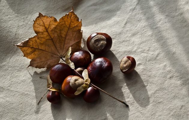 Piure de castane, sursa: Pixiebay, revistamargot.ro
