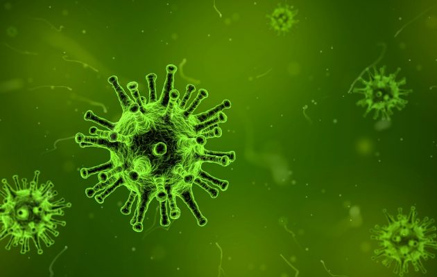 Ce înseamnă epidemie de gripă? - RevistaMargot.ro