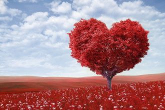 Valentine's Day Quiz: Părinți sau îndrăgostiți? - RevistaMargot.ro