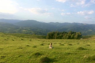 Singurul tată din parc și mămicile - RevistaMargot.ro