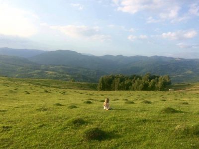 Singurul tată din parc și mămicile - RevistaMargot.ro