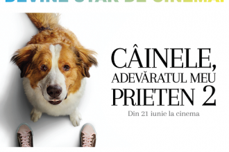Catelusul tau devine star de cinema