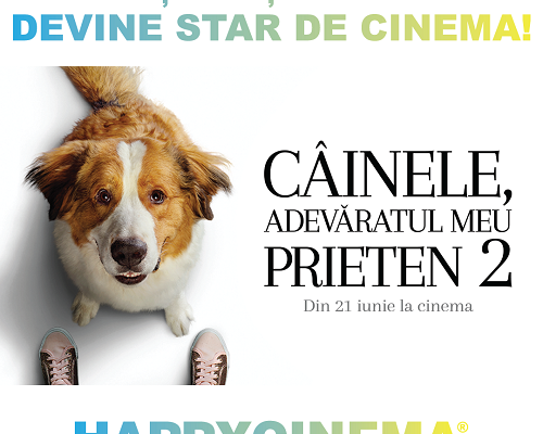 Catelusul tau devine star de cinema
